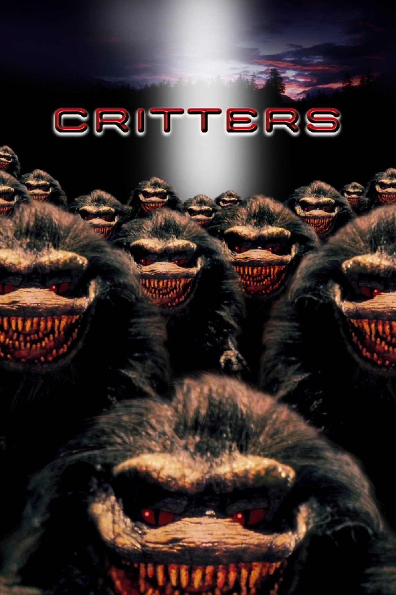 24/7 Critters