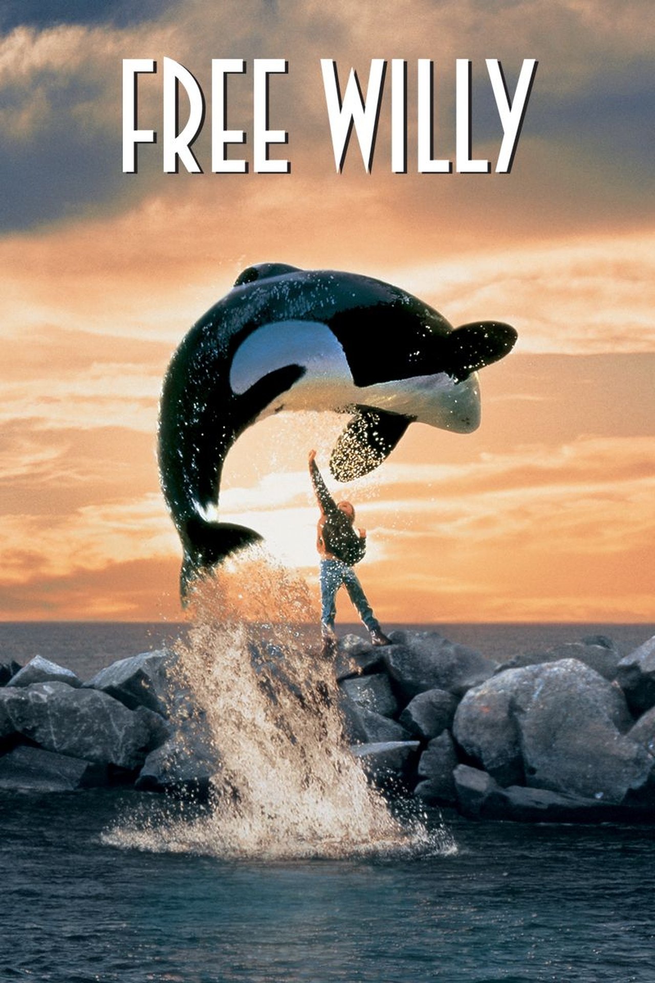 24/7 Free Willy