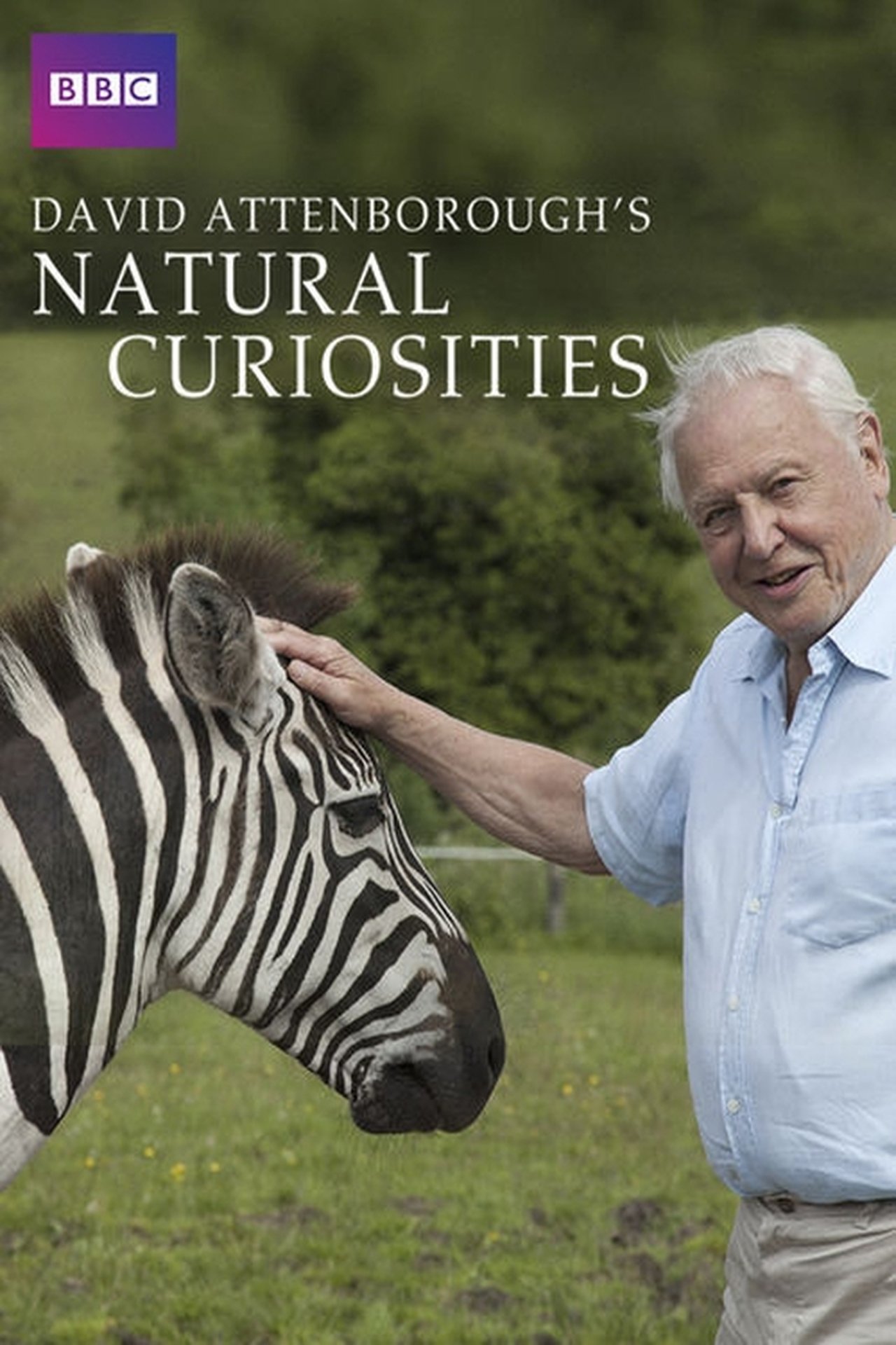 24/7 David Attenboroughs Natural Curiosities